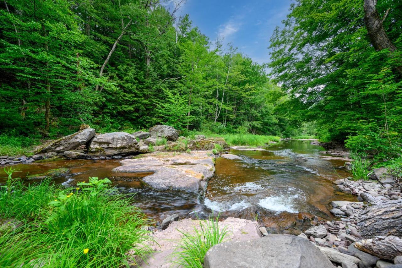 Mountain Treasure Bed And Breakfast Maplecrest 외부 사진