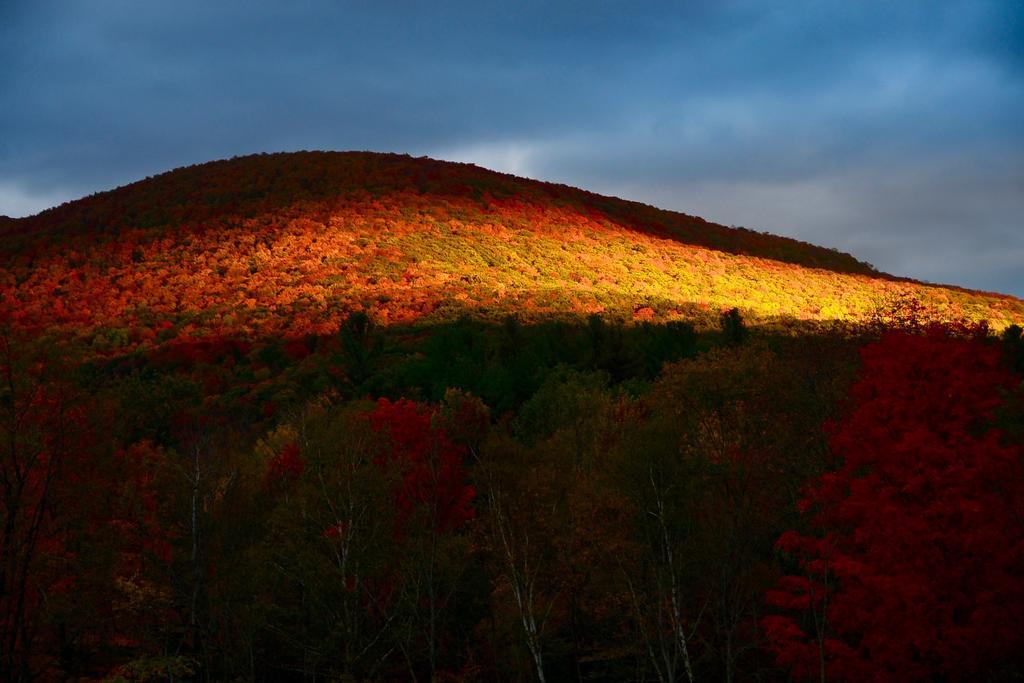 Mountain Treasure Bed And Breakfast Maplecrest 외부 사진